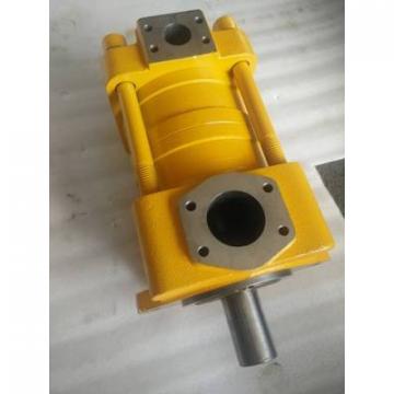 Japanese SUMITOMO QT5133 Series Double Gear Pump QT5133-125-10F QT5133-100-12.5F