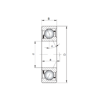 7412 B CX Angular Contact Ball Bearings