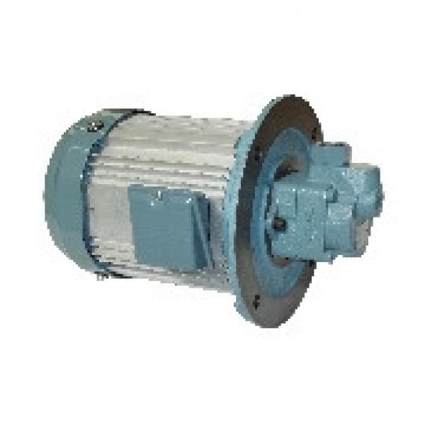  302045 0060 D 100 W/HC /-V Imported original Sauer-Danfoss Piston Pumps #1 image