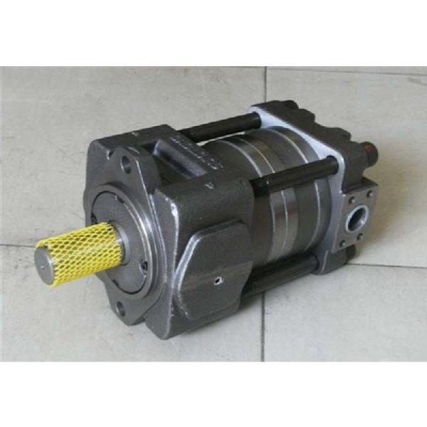 Japanese SUMITOMO QT2323 Series Double Gear pump QT2323-9-9MN-S1160-A #1 image