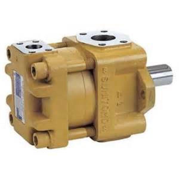 Japanese pump QT23 Series Gear Pump QT23-6.3L-A #1 image