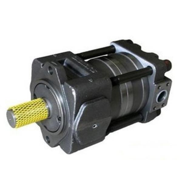 Japanese Japanese SUMITOMO QT4233 Series Double Gear Pump QT4233-31.5-16F #1 image
